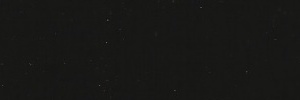 Regal Black